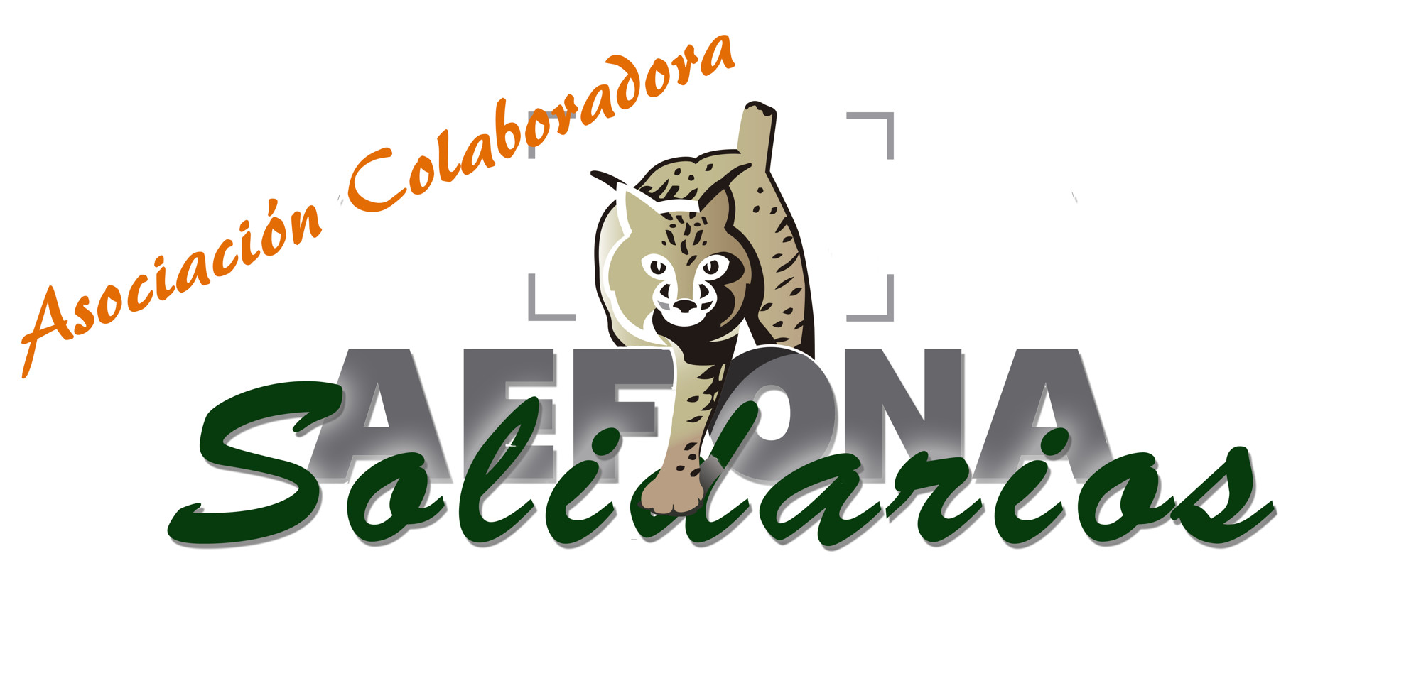 Sociedad Fotográfica de Málaga (SFM) - 00LOGO%20AEFONA%20Solidarios-colaboradores1.jpg