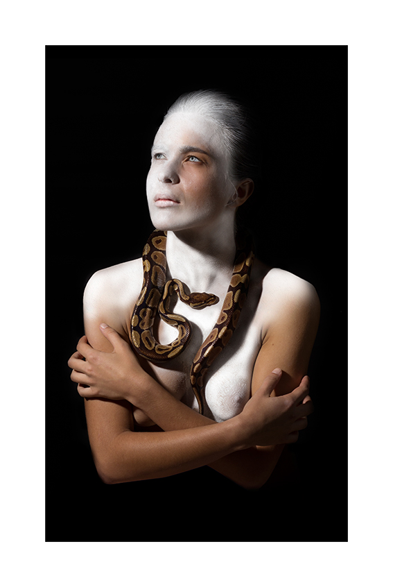 Sociedad Fotográfica de Málaga (SFM) - Medusa,%20Clara.jpg